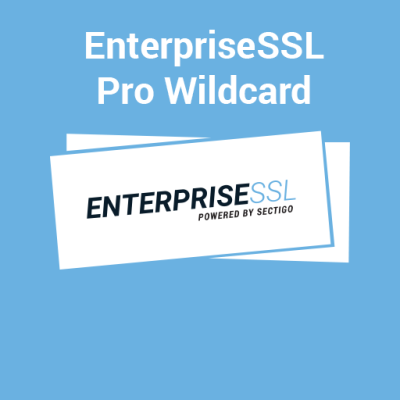EnterpriseSSL Pro Wildcard